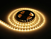 Лента светодиодная Ambrella Light GS GS4001 100_100_2839359
