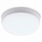 Накладной светильник Ambrella Light ST ST8626