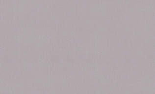 A101214 Обои ARTSIMPLE (1*6) 10,00x1,06 винил на флизелине 500_191_2323809