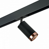 Светильник на штанге Lightstar Rullo PRO437430 100_100_2471126