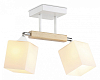 Светильник на штанге Ambrella Light TR TR9511 100_100_2468409