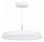 Подвесной светильник Arlight ELEGANT 033925(1) 250_100_1906843