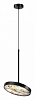 Подвесной светильник Odeon Light Bergi 5064/15L 100_100_1729217