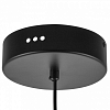 Подвесной светильник Lightstar Sole 734067 100_100_1720830