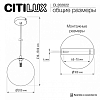 Подвесной светильник Citilux ORTON CL202022 100_100_1381006