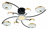 Потолочная люстра Escada Liberta 10208/8LED 100_100_2676217