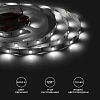 Лента светодиодная Apeyron Electrics  00-149 100_100_3087457