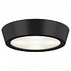 Накладной светильник Lightstar Urbano 214974 100_100_2448512