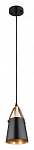 Подвесной светильник Arte Lamp Thomas A7032SP-1BK 250_100_1823962