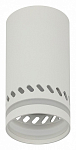 Накладной светильник Эра OL50 WH Б0059802 250_100_Array