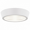 Накладной светильник Lightstar Urbano mini 214702 100_100_2448527