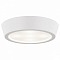 Накладной светильник Lightstar Urbano mini 214702