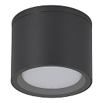 SL9006.702.01 Светильник уличный потолочный ST-Luce серый/белый GX53 1*9W TUBO 250_100_2957315