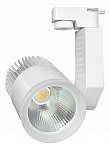 Светильник на штанге Elektrostandard Accord a039567 250_100_583328