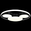 Накладной светильник Loft it Mike 10166 100_100_1847970