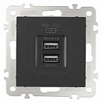Розетка USB, без рамки Arte Milano am-206 206.46-1.black 250_100_Array