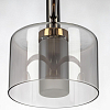 Люстра на штанге Citilux ELAN CL241171 100_100_1695040