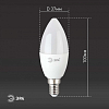 Лампа светодиодная Эра  E14 6Вт 6500K LED B35-6W-865-E14 R 100_100_2842150