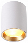 Накладной светильник Odeon Light Aquana 4206/1C 250_100_1723948