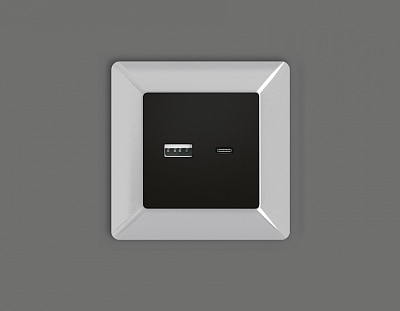 Накладка для розетки type A и C Ambrella Volt ALFA AP8110 400_400_2185452