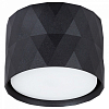 Накладной светильник Arte Lamp Fang A5552PL-1BK 100_100_2444203