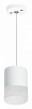 Подвесной светильник Lightstar Rullo RP348681 100_100_1717757