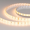 Лента светодиодная Arlight RTW-SE 058981 100_100_1602693