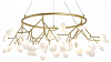 Подвесная люстра Arte Lamp Candy A7272SP-45GO 100_100_2425610