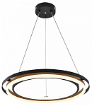 Подвесной светильник Escada Lagom 10248/2LED 250_100_1945716