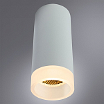 Накладной светильник Arte Lamp Ogma A5556PL-1WH 250_100_1822957