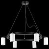 Подвесная люстра Lightstar Rullo LR016366 100_100_1718103