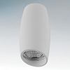 Накладной светильник Lightstar Ballo 214466 100_100_1713030