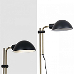 Торшер Arte Lamp Zetta A7055PN-1BK 250_100_1481285