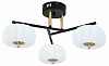 Люстра на штанге Escada Halma 10301/3LED 100_100_1946118