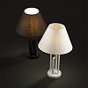 Настольная лампа декоративная Lumion Fletcher 5290/1T 100_100_1863392