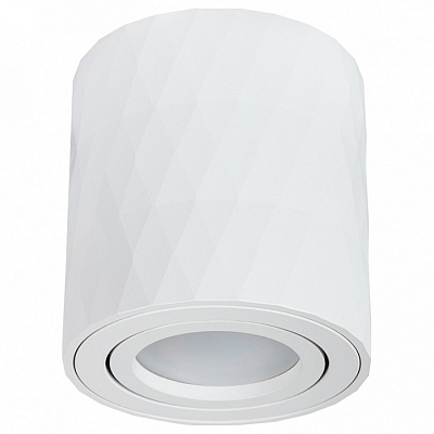 Накладной светильник Arte Lamp Fang A5559PL-1WH 400_400_2444209