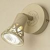 Спот Citilux Винон CL519515 100_100_2227554