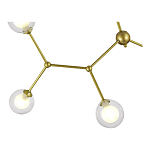 SLE1106-203-06 Светильник подвесной Золотистый/Прозрачный, Белый G9 LED 6*5W АРКУС 250_100_2954314