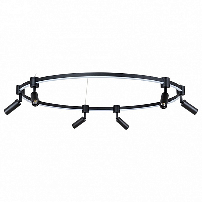Подвесной светильник Arte Lamp Ring A2186SP-1BK 400_400_3233783