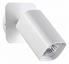Спот Novotech Gusto 370553 100_100_2229187