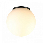 Накладной светильник Odeon Light NATURE 7124/1C 250_100_1391797