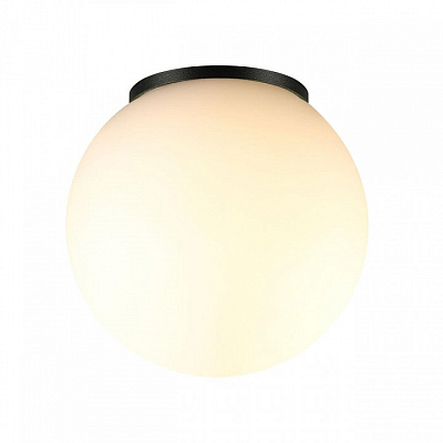 Накладной светильник Odeon Light NATURE 7124/1C 400_400_1391797
