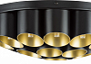 Потолочная люстра Lightstar Siena 720227 100_100_1715555