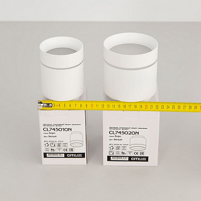 Накладной светильник Citilux Борн CL745020N 400_400_1688069