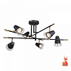Люстра на штанге F-promo Trandy 4618-6C 100_100_3228030