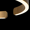 Подвесной светильник Loft it Ring 10013S 100_100_1845729