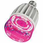 Лампа светодиодная Uniel LED-M80  20Вт K 11098 250_100_Array