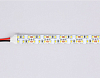 Лента светодиодная Ambrella Light GS GS1601 100_100_2025185