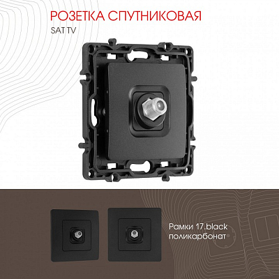 ТВ-розетка без рамки Arte Milano am-217 217.42-1.black 400_400_2167790