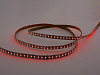 Лента светодиодная LEDS POWER  005997 100_100_2200850